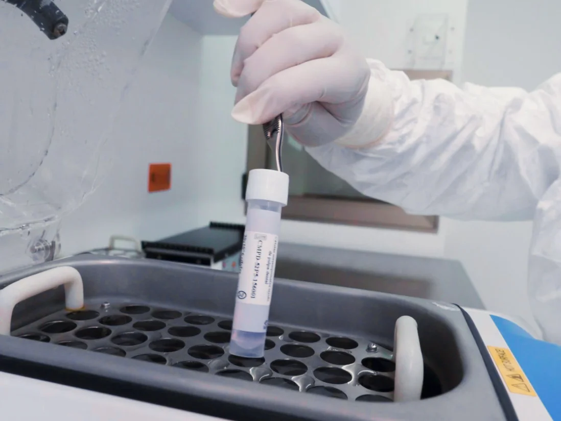 resguardo de células madre